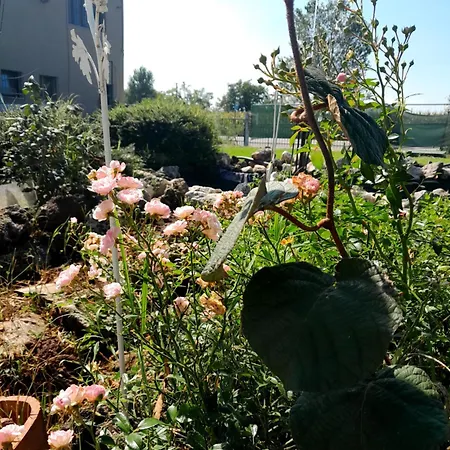 Bed & Breakfast Seven Casalmorano